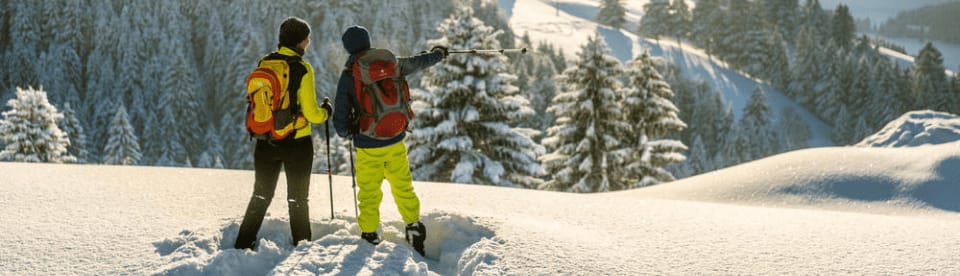 Zwei Wanderer im Schnee von Hinten