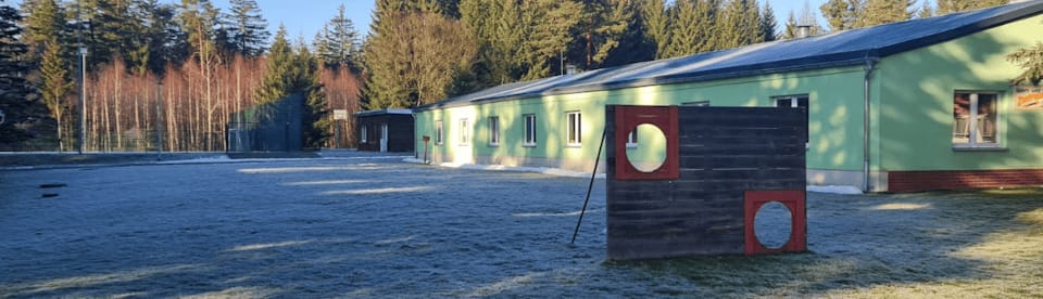 Haus im Wald mit Torwand davor
