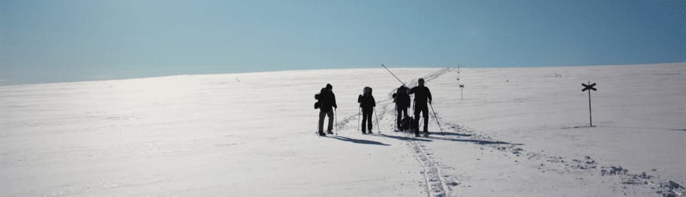 Schneeschuhwanderer folgt Markierungen