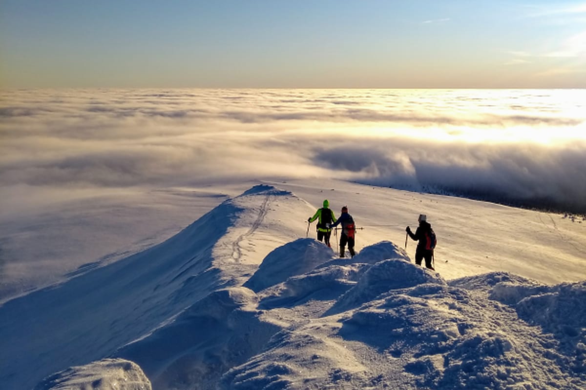 Langlaufkurs in verschneiten Landschaften