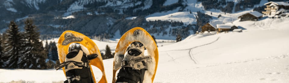 Schneeschuhe vor Bergtal